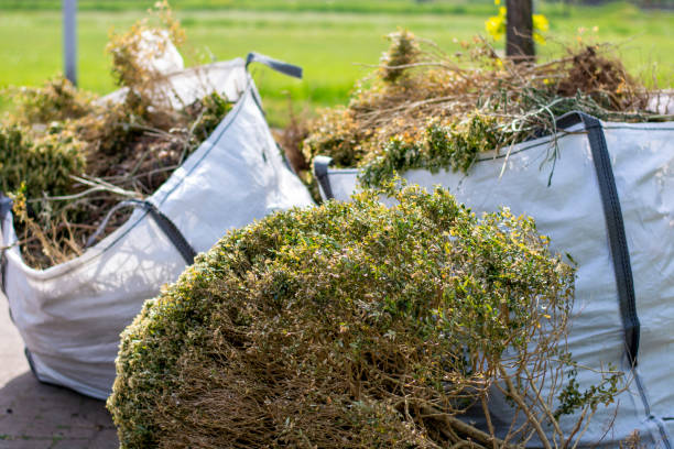 Trusted Walsenburg, CO Junk Removal Experts